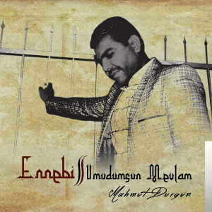 Mahmut Durgun Ennebi (2019)
