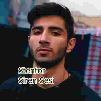 Stentor Siren Sesi (2020)