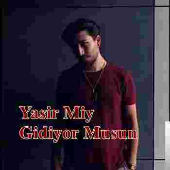 Yasir Miy Gidiyor Musun (2019)