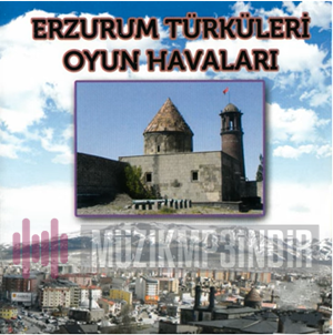 Fethi Siverekli Erzurum Türküleri Oyun Havaları (2022)