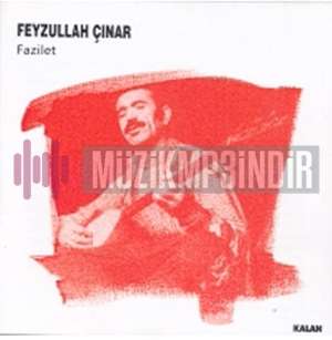 Feyzullah Çınar Fazilet (2003)