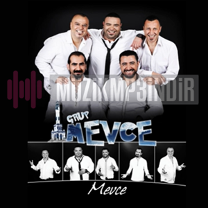 Grup Mevce Mevce (2014)