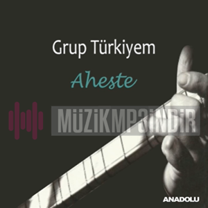 Grup Türkiyem Aheste (2015)