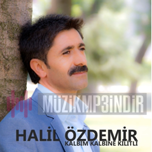 Halil Özdemir Haşin Bakışlı Yarim (2019)