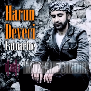 Harun Deveci Fatnarine (2016)