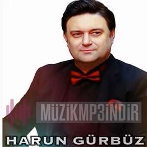 Harun Gürbüz Zevk-i Sefa (2019)