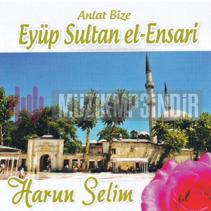 Harun Selim Anlat Bize (2015)