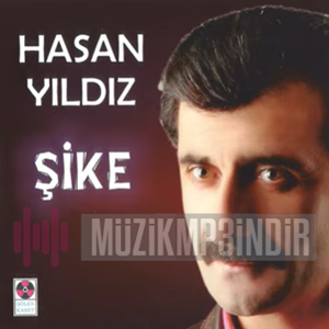 Hasan Yıldız Şike (2013)
