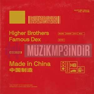 Higher Brothers Made In China (2018)