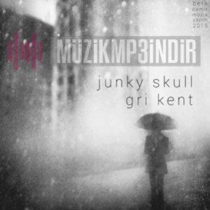 Junky Skull Gri Kent (2015)