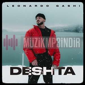 Leonardo Gashi Deshta (2024)
