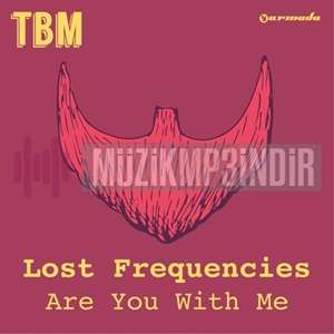 Lost Frequencies Are You With Me (2015)