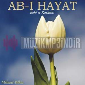 Mehmet Yetkin Ab-ı Hayat (2013)
