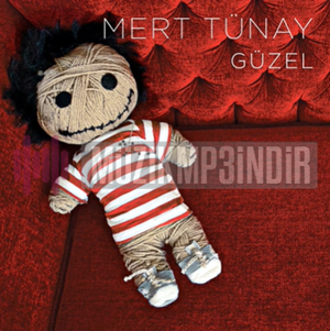 Mert Tünay Güzel (2013)