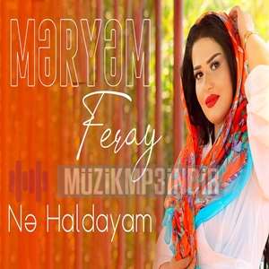 Meryem Feray Ne Haldayam (2022)