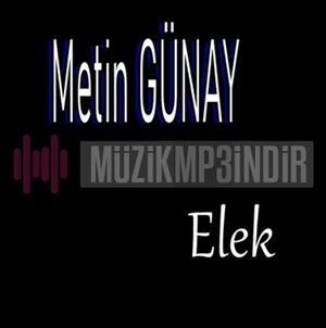 Metin Günay Elek (2022)