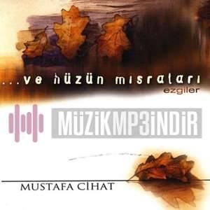Mustafa Cihat Ve Hüzün Mısraları (2014)