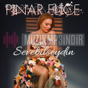 Pınar Eliçe Sevebilseydin (2023)