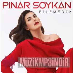 Pınar Soykan Bilemedim (2022)