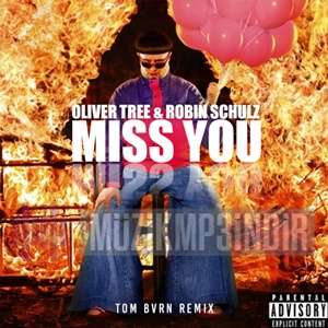 Robin Schulz Miss You (2023)