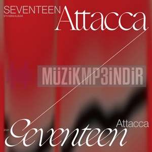Seventeen Attacca (2024)