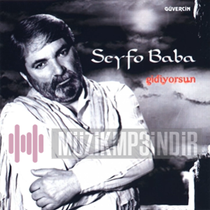 Seyfo Baba Gidiyorsun (2017)