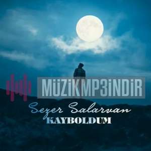 Sezer Salarvan Kayboldum (2022)