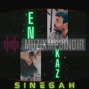 Sinegah Enkaz (2024)
