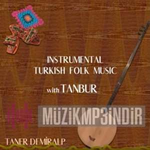 Taner Demiralp Instrumental Turkish Folk Music With Tanbur (2022)