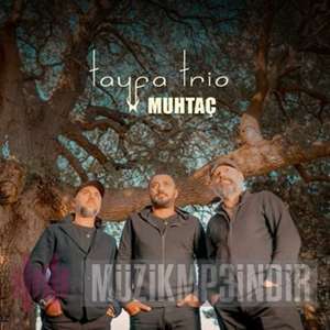 Tayfa Trio Muhtaç (2022)