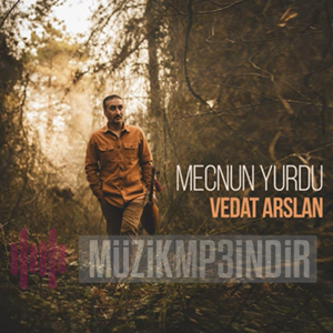 Vedat Arslan Mecnun Yurdu (2022)