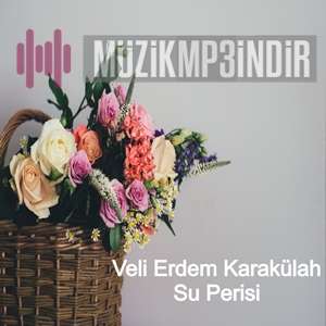 Veli Erdem Karakülah Su Perisi (2022)