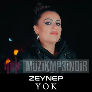 Zeynep Yok (2023)